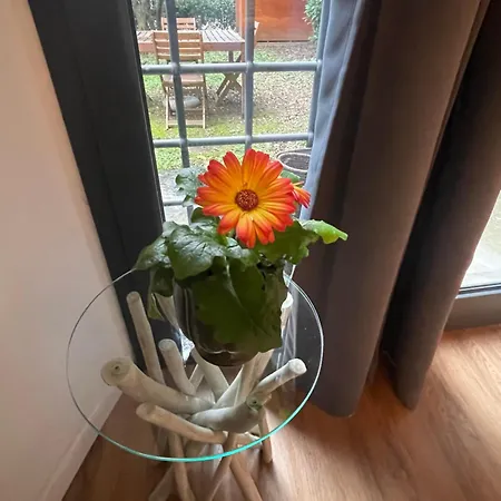 La Delizia, Giardino E Parcheggio Privato, * Floransa