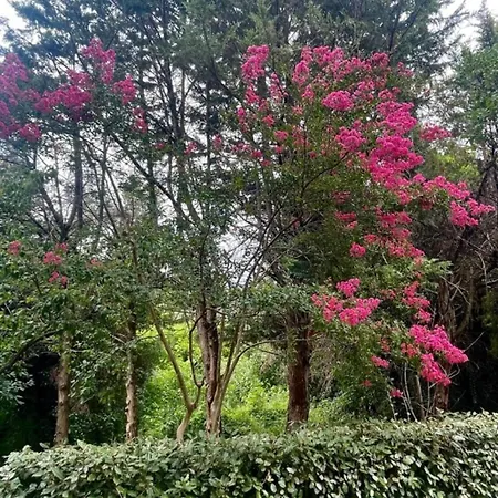 La Delizia, Giardino E Parcheggio Privato, Prázdninový dům